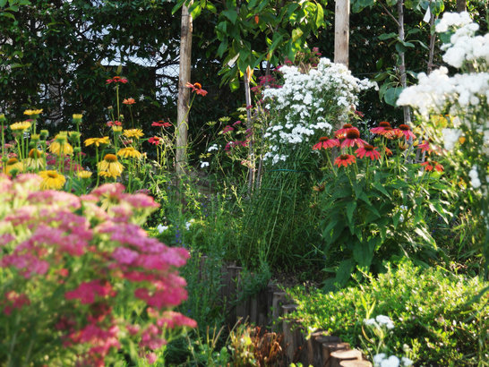 I due giardini 13